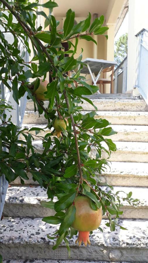 Apartments Sunset Paradise Makhinjauri Εξωτερικό φωτογραφία